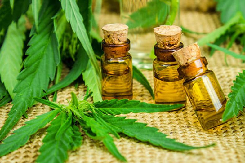 shop cbd oil