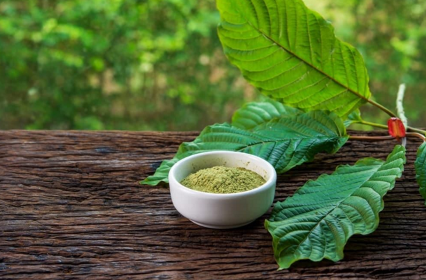 Kratom vendor online